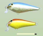 Shallow Shad Rap