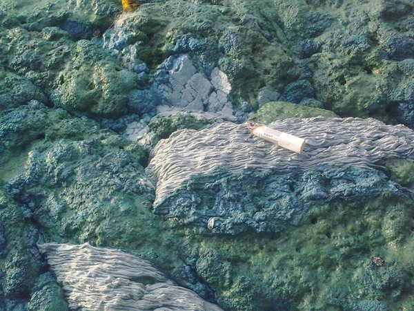 На водохранилище Вилейки образовалась ядовитая голубая пена