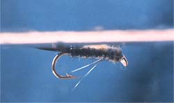 Плавающая нимфа