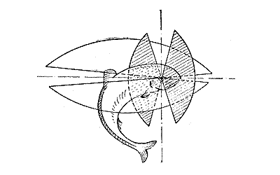 Угол обзора