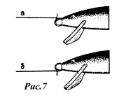 Rapala