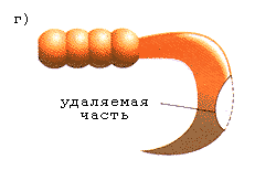 Удаляемая часть