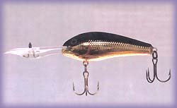 Rapala Down Deep