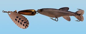 Drop Fish S