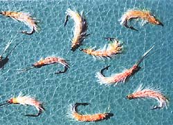 Для подсадки