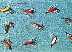 Верховые с двойниками