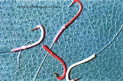 Искусственные черви