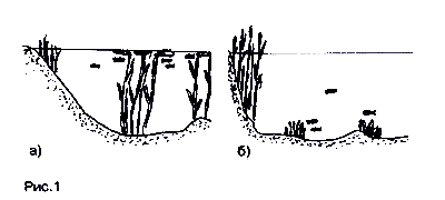 Место ловли