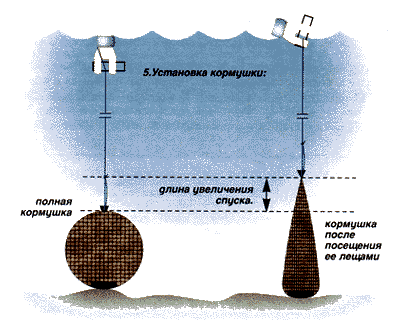 Установка кормушки