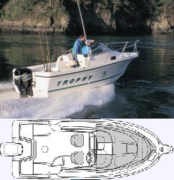 2002 Trophy Walkaround DX/LX