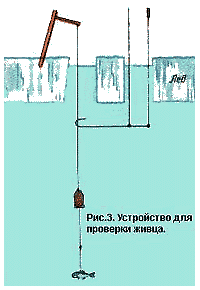 Для поверки живца