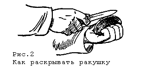 Беззубка