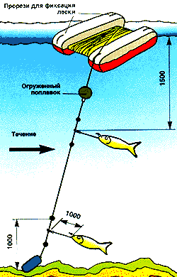 Поставщики для ловли сома