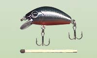 L - Minnow